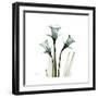 A Daffodil Day-Albert Koetsier-Framed Premium Giclee Print