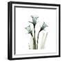 A Daffodil Day-Albert Koetsier-Framed Premium Giclee Print