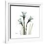 A Daffodil Day-Albert Koetsier-Framed Premium Giclee Print