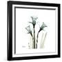 A Daffodil Day-Albert Koetsier-Framed Premium Giclee Print