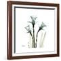 A Daffodil Day-Albert Koetsier-Framed Premium Giclee Print