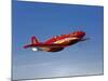 A Dago Red P-51G Mustang in Flight-Stocktrek Images-Mounted Photographic Print