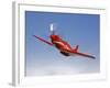 A Dago Red P-51G Mustang in Flight-Stocktrek Images-Framed Photographic Print