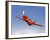 A Dago Red P-51G Mustang in Flight-Stocktrek Images-Framed Photographic Print