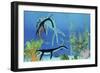 A Dakosaurus Attacks a Small Plesiosaurus-null-Framed Premium Giclee Print