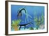 A Dakosaurus Attacks a Small Plesiosaurus-null-Framed Art Print