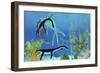 A Dakosaurus Attacks a Small Plesiosaurus-null-Framed Art Print