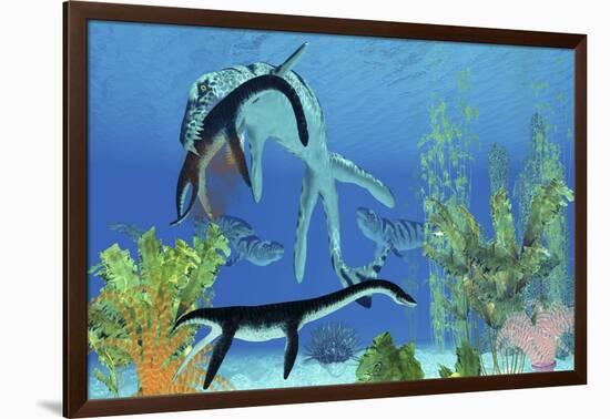 A Dakosaurus Attacks a Small Plesiosaurus-null-Framed Art Print