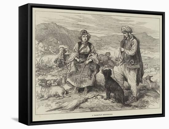 A Dalmatian Shepherdess-null-Framed Stretched Canvas