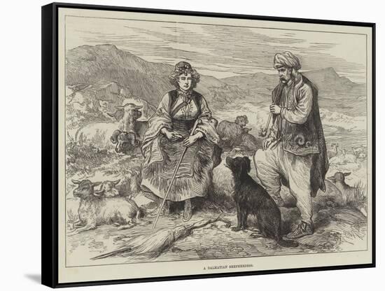 A Dalmatian Shepherdess-null-Framed Stretched Canvas