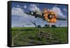 A Damaged B-17 Flying Fortress Attempting an Emergency Landing-null-Framed Stretched Canvas