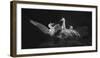 A Dancing Welcome for Mom-Jianping Yang-Framed Photographic Print