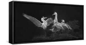 A Dancing Welcome for Mom-Jianping Yang-Framed Stretched Canvas