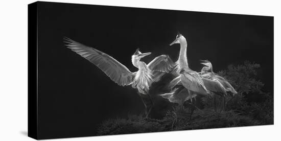 A Dancing Welcome for Mom-Jianping Yang-Stretched Canvas