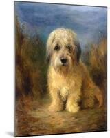 A Dandie Dinmont-Lilian Cheviot-Mounted Giclee Print