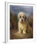 A Dandie Dinmont-Lilian Cheviot-Framed Giclee Print