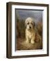 A Dandie Dinmont-Lilian Cheviot-Framed Giclee Print