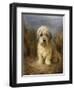 A Dandie Dinmont-Lilian Cheviot-Framed Giclee Print