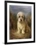 A Dandie Dinmont-Lilian Cheviot-Framed Giclee Print