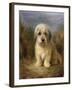 A Dandie Dinmont-Lilian Cheviot-Framed Giclee Print