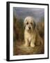 A Dandie Dinmont-Lilian Cheviot-Framed Giclee Print