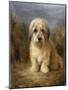 A Dandie Dinmont-Lilian Cheviot-Mounted Giclee Print