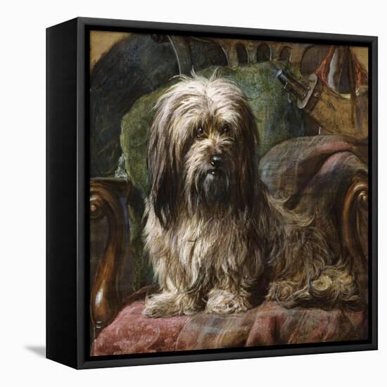 A Dandy Dinmont-Gourlay Steel-Framed Stretched Canvas