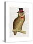 A Dapper Bird-Christopher James-Stretched Canvas