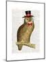 A Dapper Bird-Christopher James-Mounted Art Print