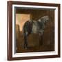 A Dapple Grey Horse-Aelbert Cuyp-Framed Giclee Print