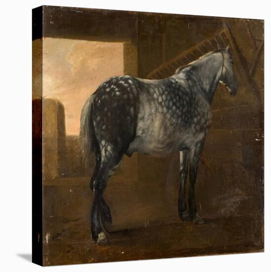 A Dapple Grey Horse-Aelbert Cuyp-Stretched Canvas