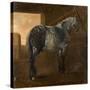 A Dapple Grey Horse-Aelbert Cuyp-Stretched Canvas