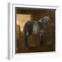 A Dapple Grey Horse-Aelbert Cuyp-Framed Giclee Print