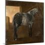 A Dapple Grey Horse-Aelbert Cuyp-Mounted Giclee Print