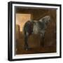 A Dapple Grey Horse-Aelbert Cuyp-Framed Giclee Print