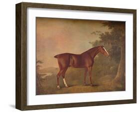 'A Dark Chestnut', 1788-John Boultbee-Framed Giclee Print