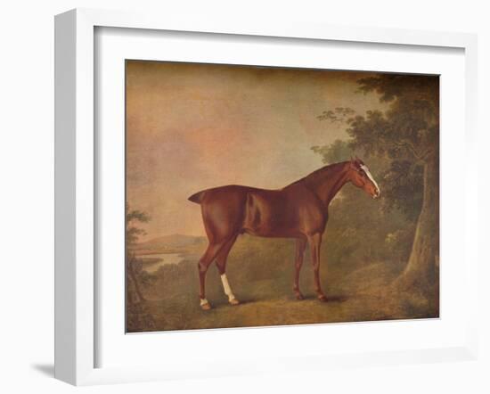 'A Dark Chestnut', 1788-John Boultbee-Framed Giclee Print