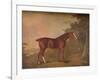 'A Dark Chestnut', 1788-John Boultbee-Framed Giclee Print