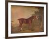 'A Dark Chestnut', 1788-John Boultbee-Framed Giclee Print