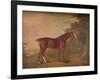 'A Dark Chestnut', 1788-John Boultbee-Framed Giclee Print