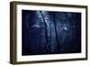 A Dark, Misty Forest, Liselund Slotspark, Denmark-null-Framed Photographic Print