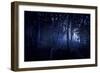 A Dark, Misty Forest, Liselund Slotspark, Denmark-null-Framed Photographic Print