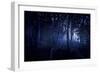 A Dark, Misty Forest, Liselund Slotspark, Denmark-null-Framed Photographic Print