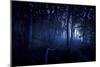 A Dark, Misty Forest, Liselund Slotspark, Denmark-null-Mounted Photographic Print