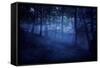 A Dark, Misty Forest, Liselund Slotspark, Denmark-null-Framed Stretched Canvas