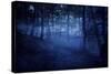 A Dark, Misty Forest, Liselund Slotspark, Denmark-null-Stretched Canvas