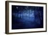 A Dark, Misty Forest, Liselund Slotspark, Denmark-null-Framed Photographic Print