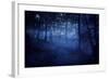 A Dark, Misty Forest, Liselund Slotspark, Denmark-null-Framed Photographic Print