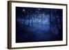 A Dark, Misty Forest, Liselund Slotspark, Denmark-null-Framed Photographic Print