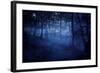 A Dark, Misty Forest, Liselund Slotspark, Denmark-null-Framed Photographic Print